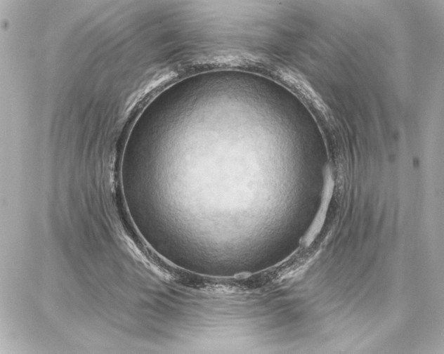 X0000087740585200705211014