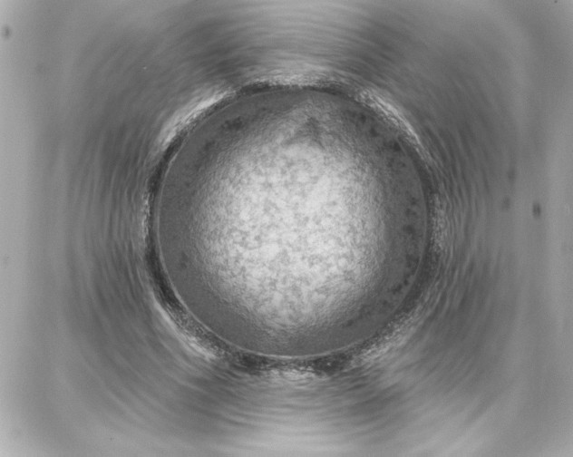 X0000087740586200705211014