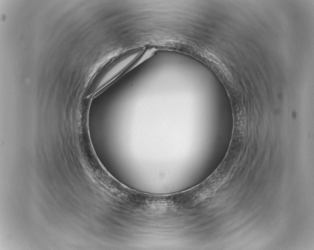 X0000087740587200705211014