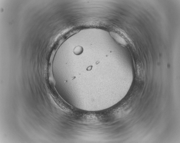 X0000087740588200705211014