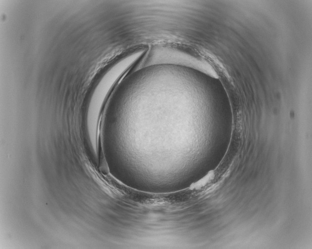 X0000087740589200705211014