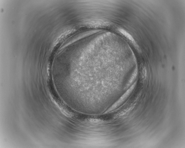 X0000087740590200705211014