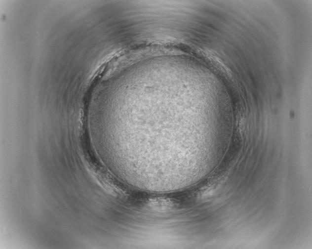 X0000087740591200705211014