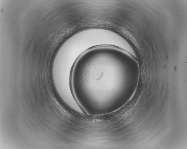 X0000087740593200705211014