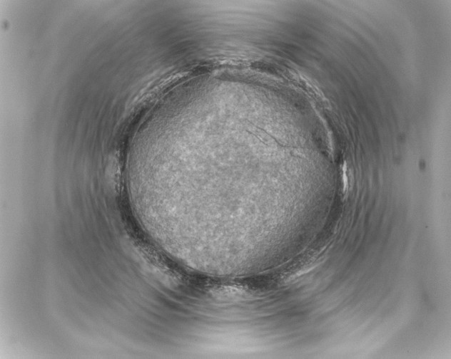 X0000087740594200705211014