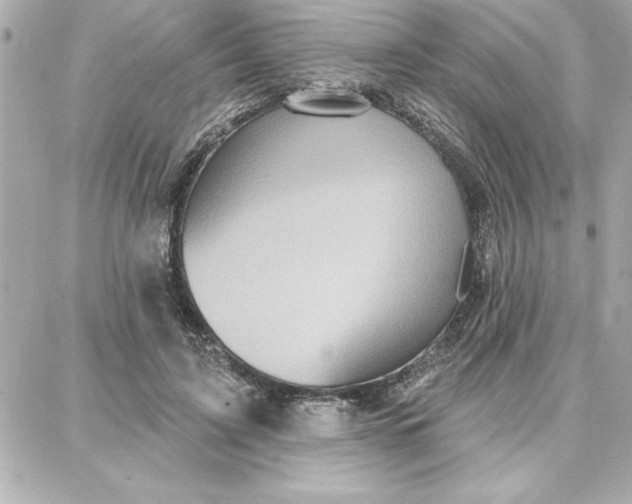 X0000087740595200705211014