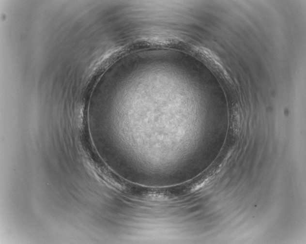 X0000087740596200705211014