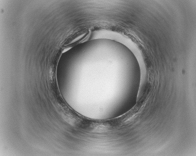 X0000087740597200705211014