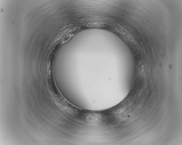 X0000087740599200705211014