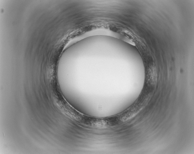 X0000087740600200705211014