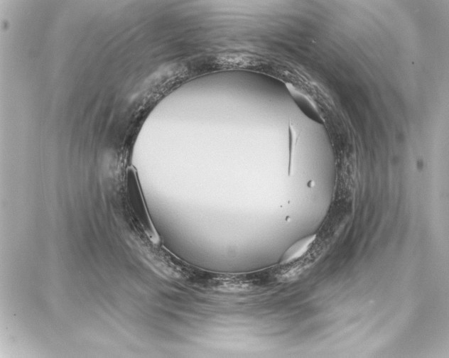 X0000087740601200705211014