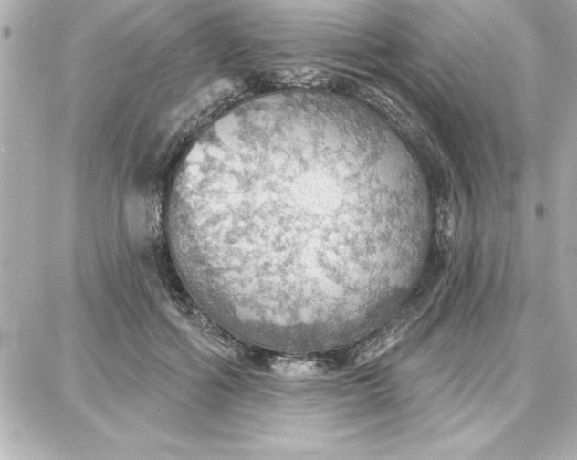 X0000087740602200705211014