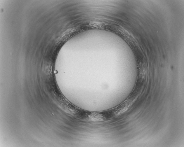 X0000087740603200705211014