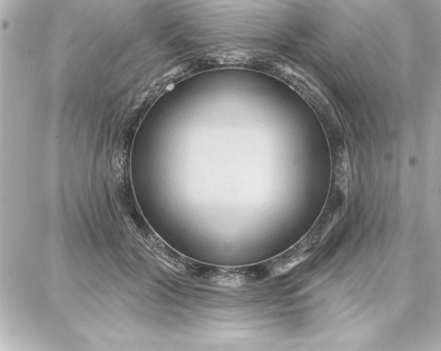 X0000087740604200705211014