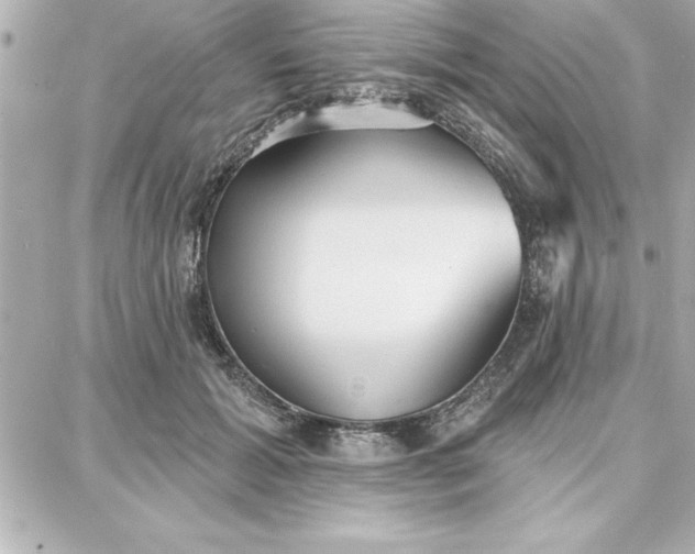 X0000087740605200705211014