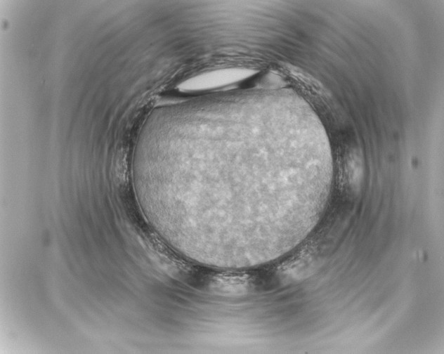 X0000087740606200705211014