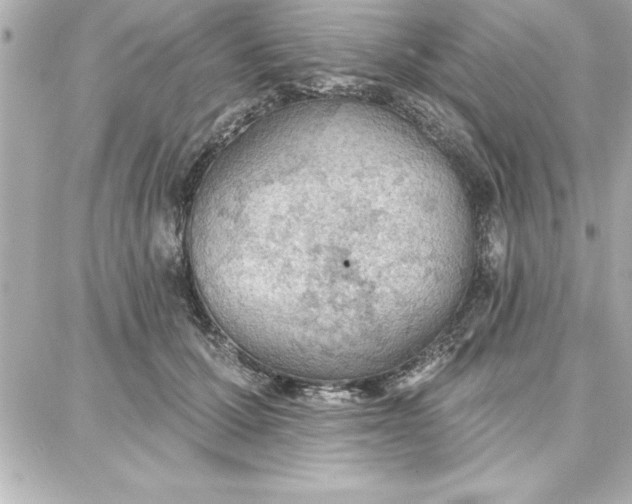 X0000087740607200705211014