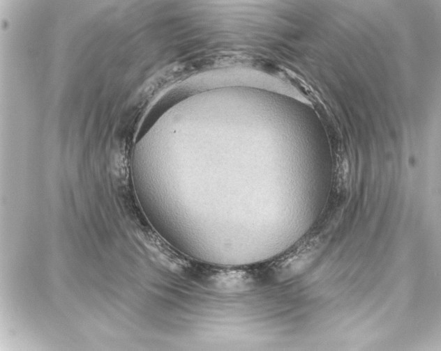 X0000087740609200705211014