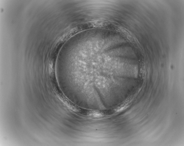 X0000087740610200705211014