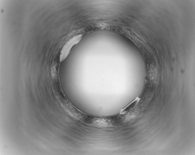 X0000087740611200705211014