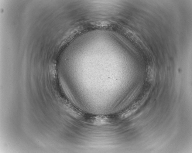 X0000087740612200705211014