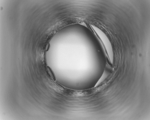 X0000087740613200705211014