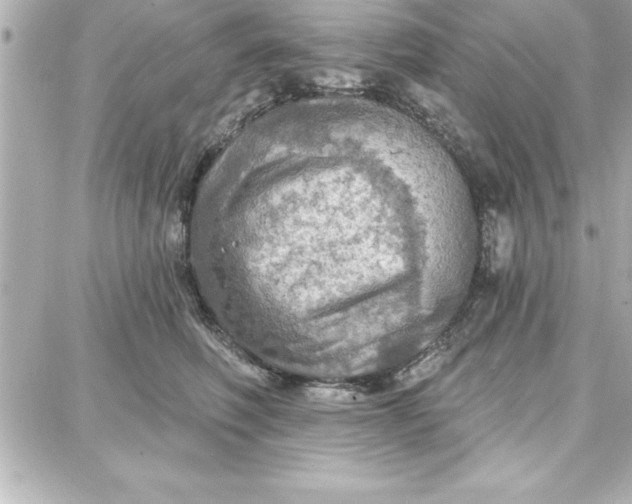 X0000087740614200705211014