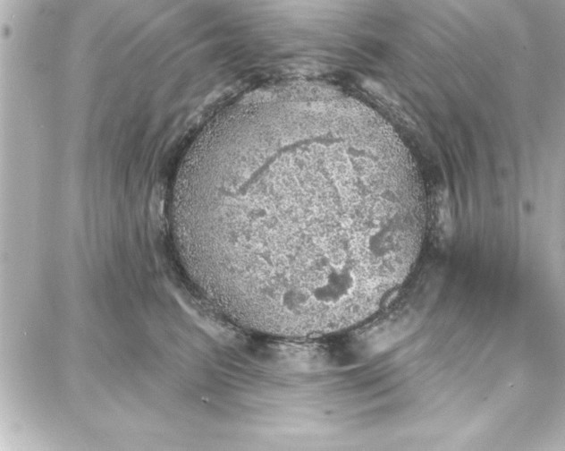 X0000087740615200705211014