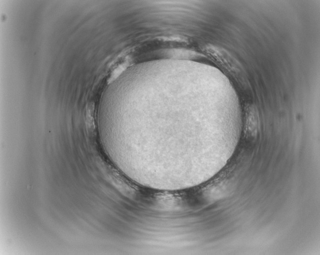 X0000087740616200705211014