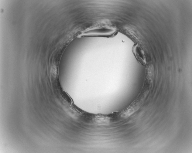 X0000087740617200705211014