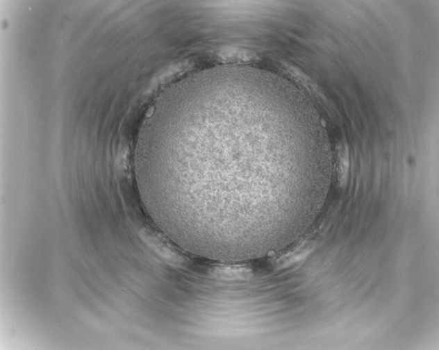 X0000087740619200705211014