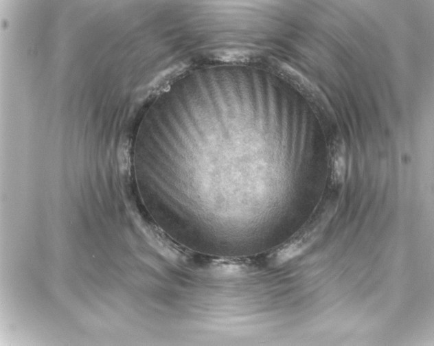 X0000087740620200705211014