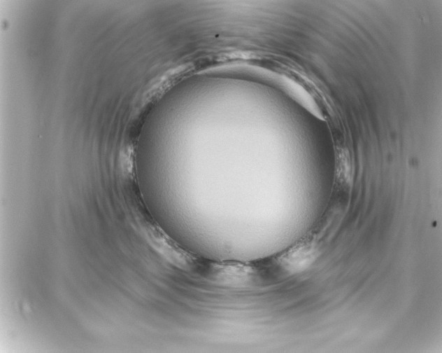 X0000087740621200705211014