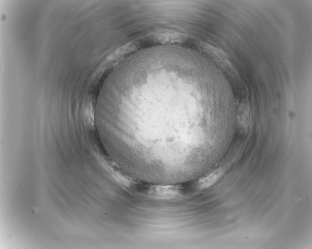 X0000087740622200705211014