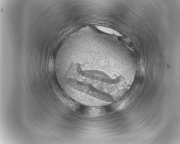 X0000087740623200705211014