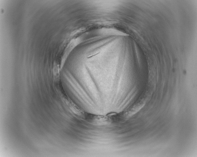 X0000087740624200705211014