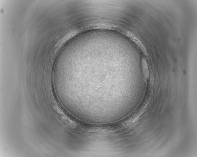 X0000087740625200705211013