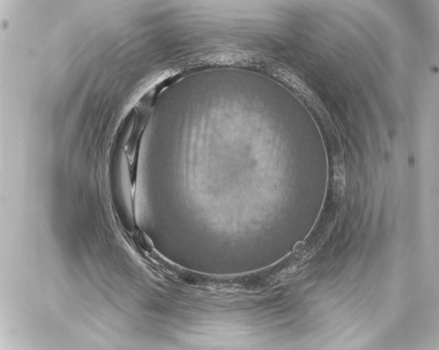 X0000087740626200705211013