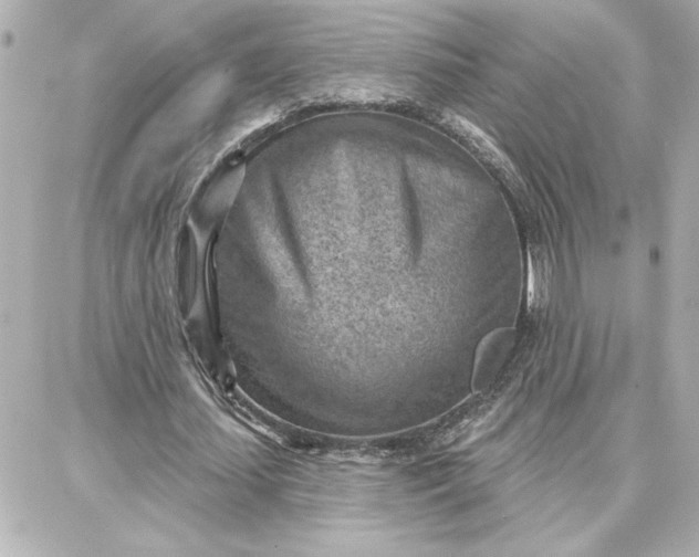 X0000087740627200705211013