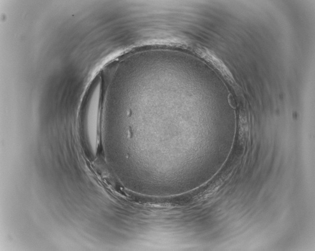 X0000087740628200705211013