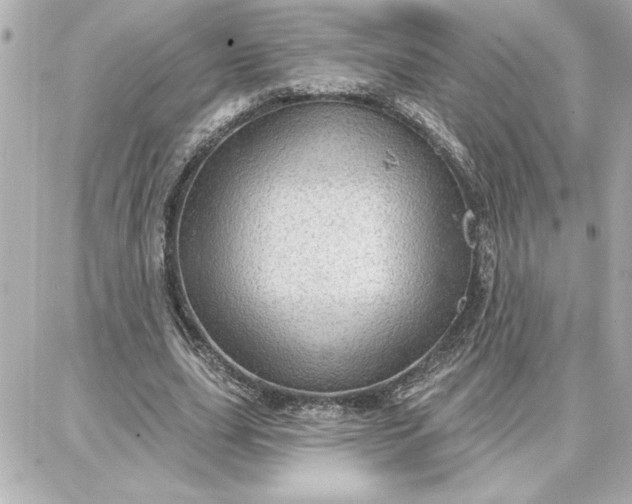 X0000087740631200705211013