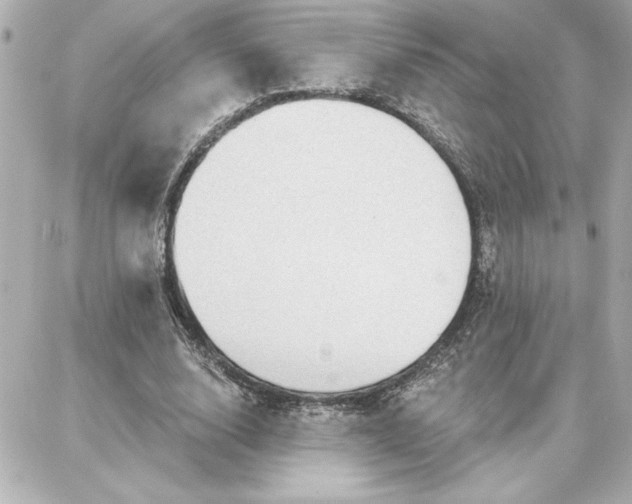 X0000087740632200705211013