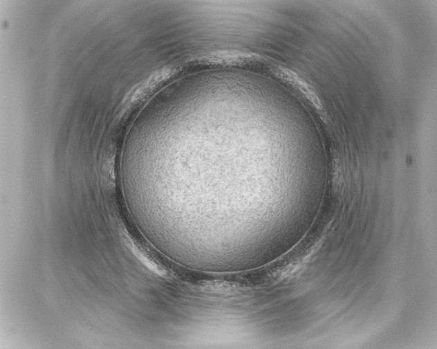 X0000087740633200705211013