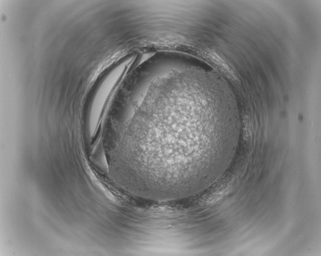 X0000087740634200705211013