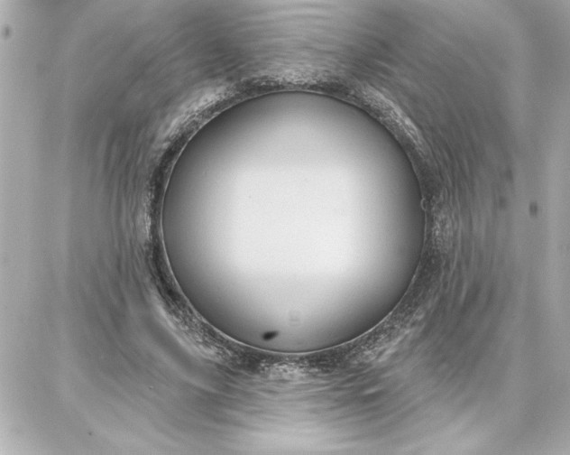 X0000087740635200705211013