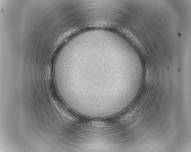 X0000087740636200705211013