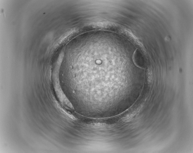 X0000087740637200705211013