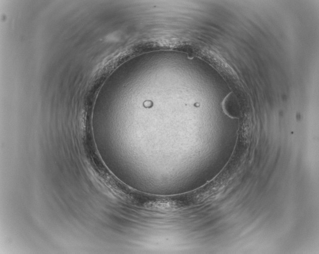 X0000087740639200705211013