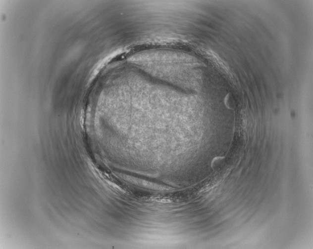 X0000087740640200705211013