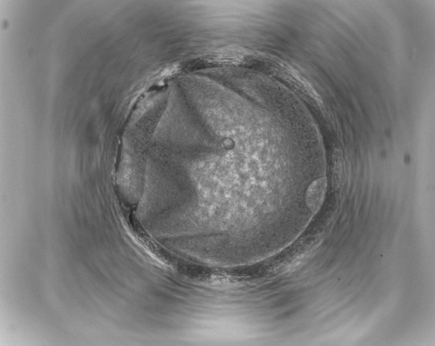 X0000087740641200705211013